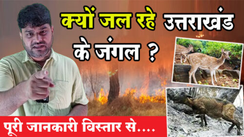 उत्तराखण्ड के पहाड़ों में तबाही का मंजर