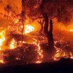 uttarakhand jangal ki aag