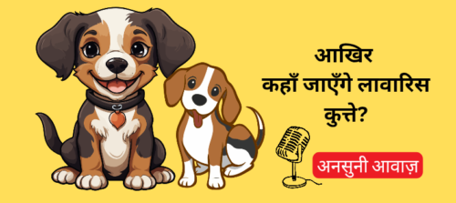 डॉग लवर्स का सरकार और कोर्ट से सीधा सवाल — आखिर कहाँ जाएंगे 10 लाख बेसहारा कुत्ते?